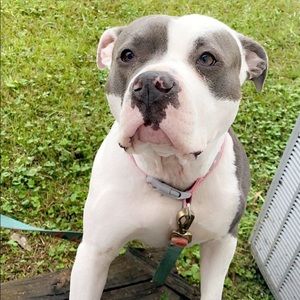 Meet your Posher, Allyson